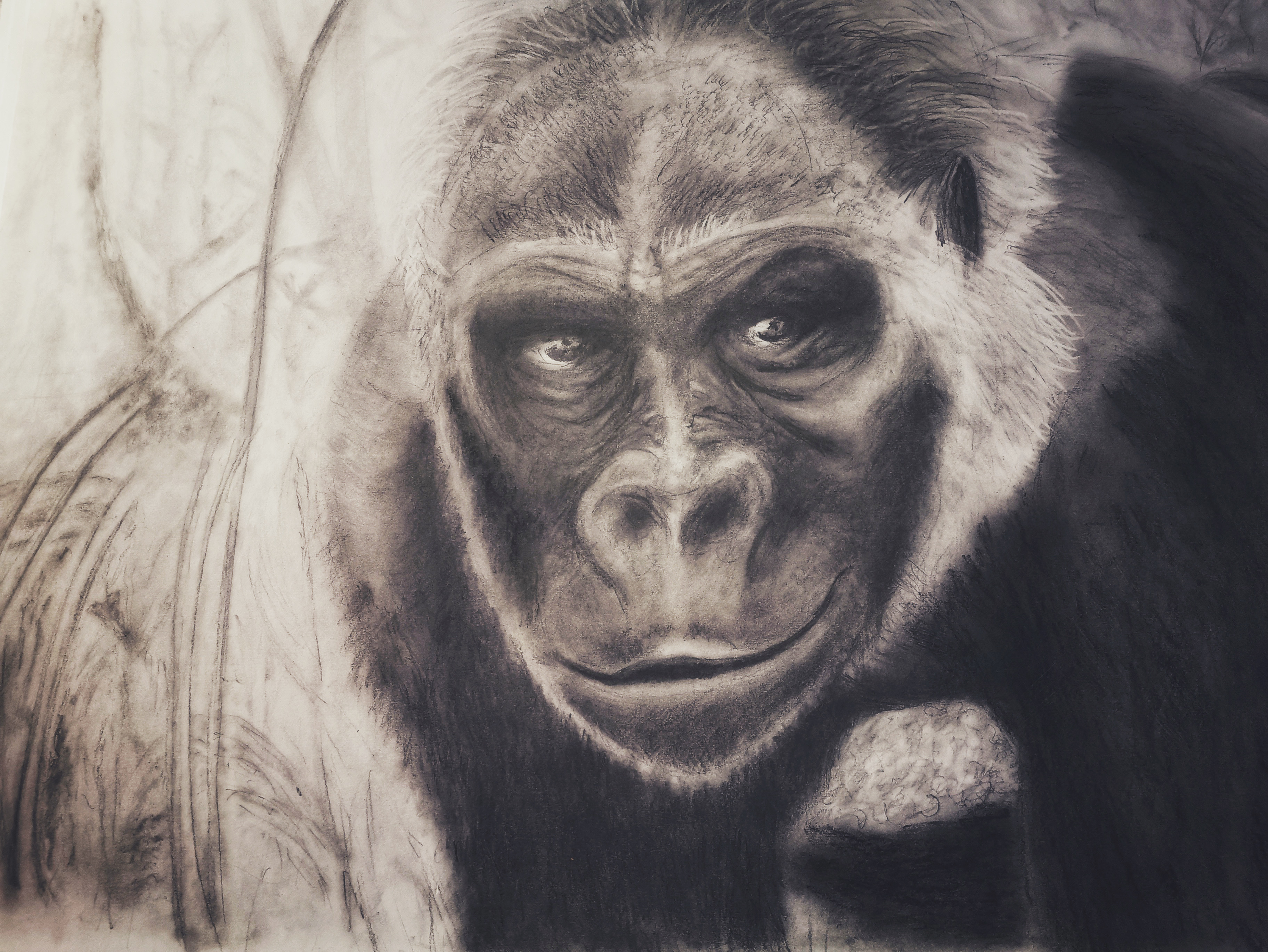 Chaos & Order Series