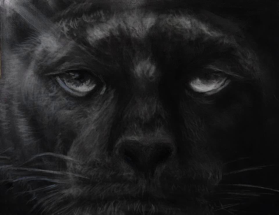 Language of the Soul Series