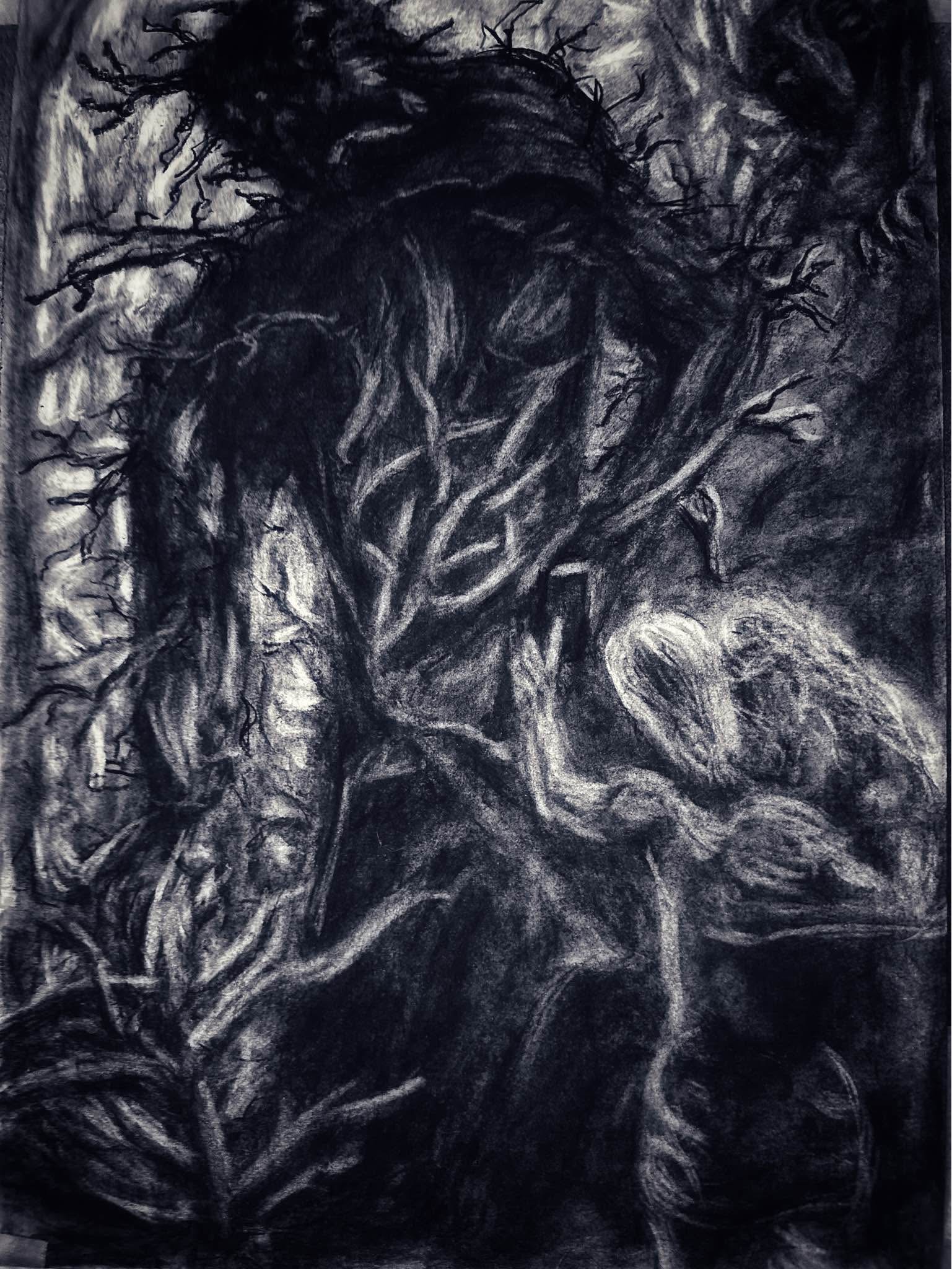 Language of the Soul Series